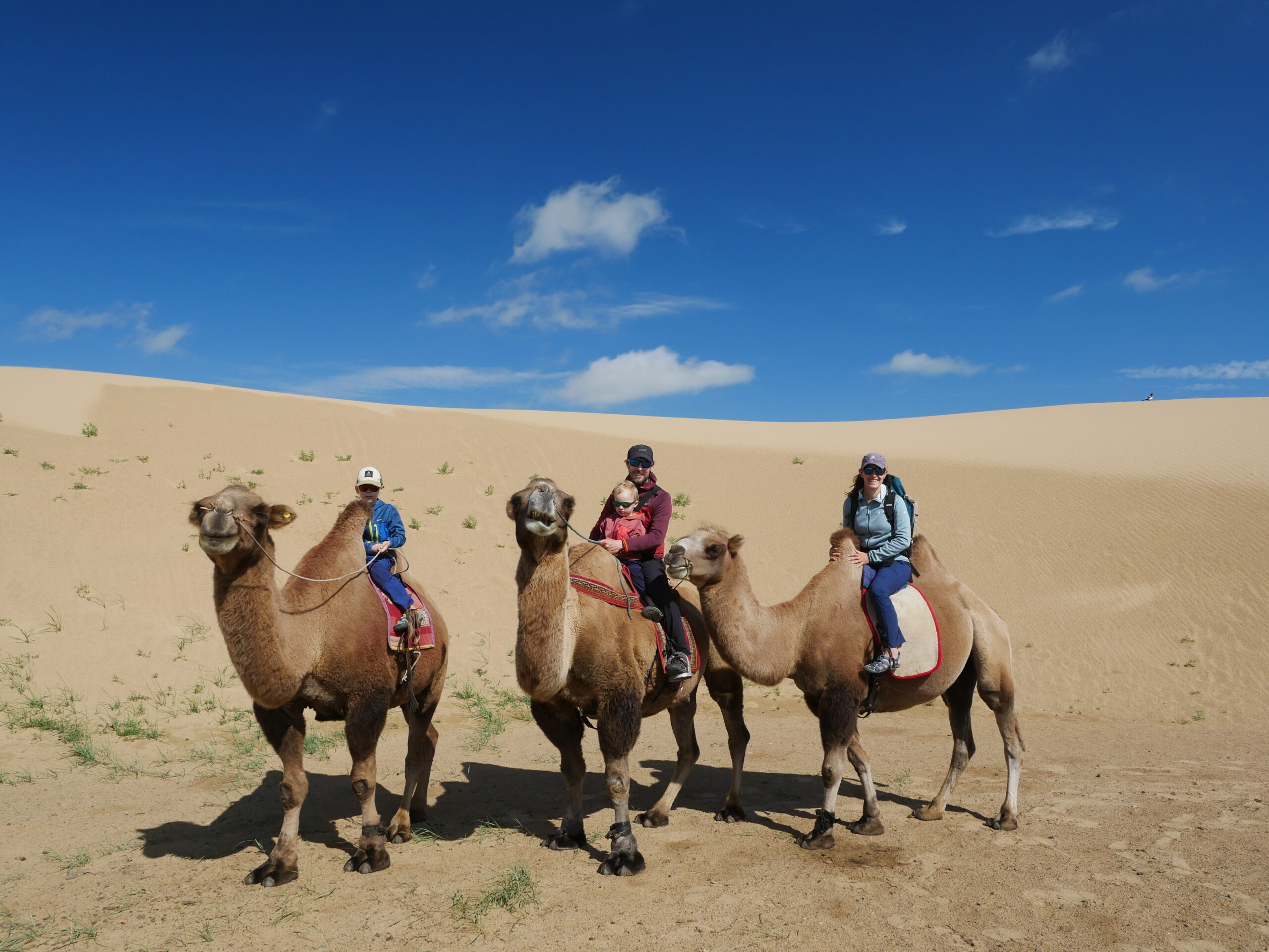 VIDÉO : Petit Gobi et Kharkhorin
