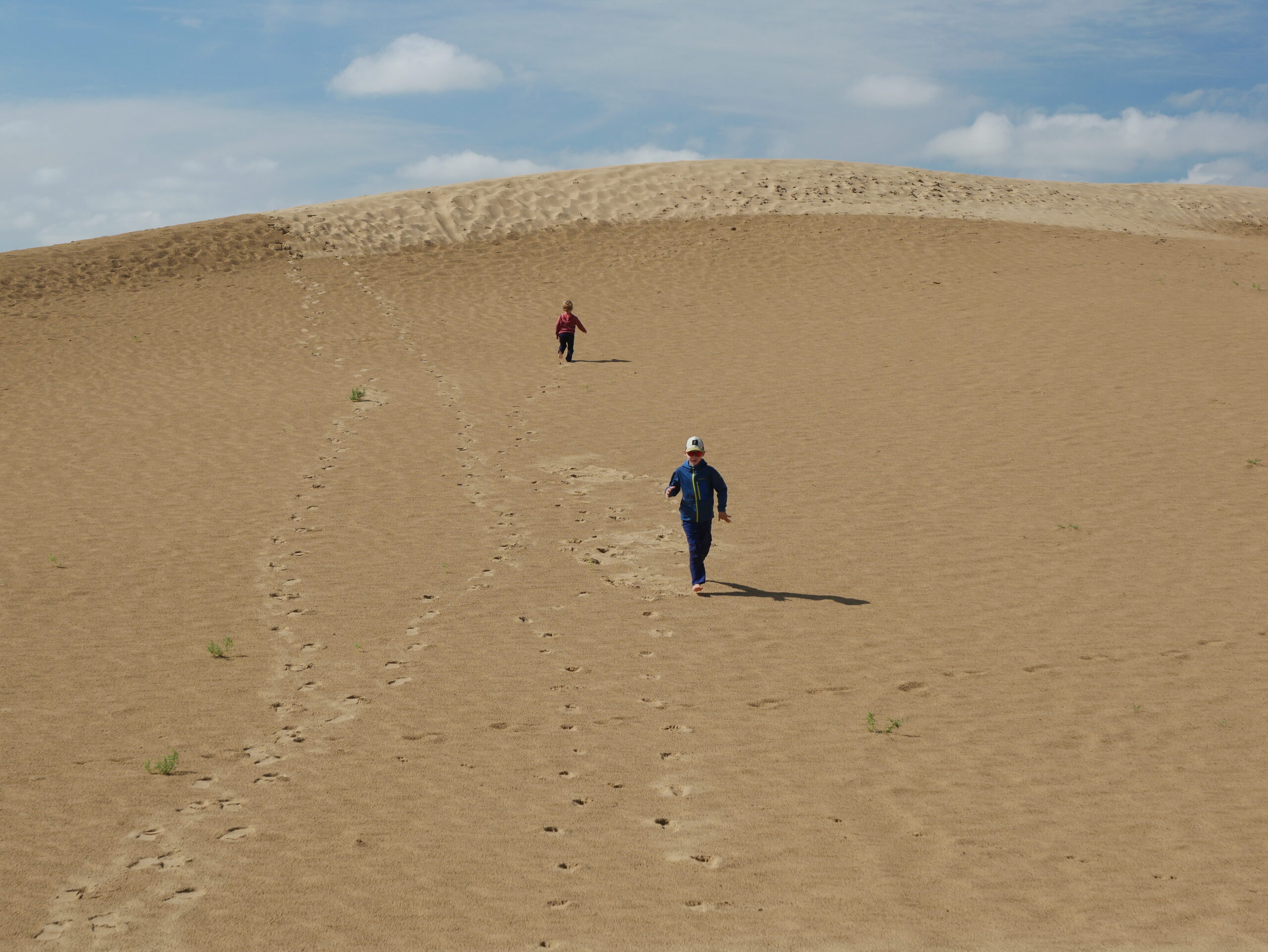 Petit Gobi